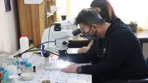 Piri Reis'in ismi Türk bilim insanı tarafından Antarktika'da keşfedilen liken türünde yaşatılacak