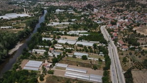 Sakarya Nehri'nden beslenen verimli topraklarda mikroklima etkisiyle çeşit çeşit sebze yetiştiriyorlar