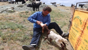 Sarıkeçili Yörükleri'nin zorlu göçü devam ediyor