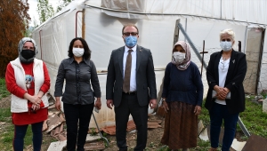 Seracılık yapan 75 yaşındaki kadın, devlet desteğiyle para kazanacak