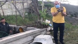 Sivas'ta anneleri telef olan 4 tilki yavrusunu sıkıştıkları menfezden itfaiye ekipleri kurtardı