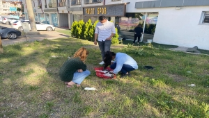 Sivas'ta bıçaklanarak öldürülmüş bir kedi yavrusu bulundu