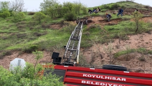 Sivas'ta dağ yamacında mahsur kalan ineği itfaiye kurtardı