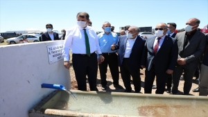 Sivas'ta hayvancılığa destek projesi 