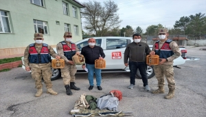 Sivas'ta kaçak keklik avlayan kişiye 7 bin lira ceza