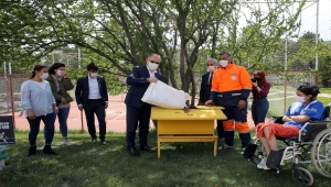 Sivas'ta "tam kapanma"da sokak hayvanları unutulmadı