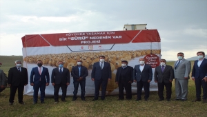 Ulaş'ta 750 baş koyun dağıtımı gerçekleştirildi
