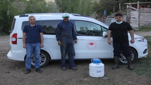 Zara'da simental ve montofon ırkı tohumlama uygulaması başlatıldı 