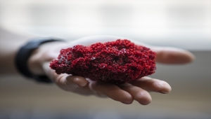 Aktarlarda satılan "kardeş kanı" bitkisi, hayati tehlike yaratıyor