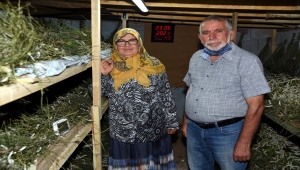 Emekli öğretim görevlisi hobi olarak başladığı ipek böceği yetiştiriciliğini gelir kapısına dönüştürdü