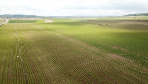 Eskişehir'de 2021 yılı sulama sezonu başladı