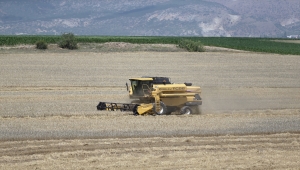 Eskişehir'de son günlerde etkili olan yağışlar hububat üreticisinin yüzünü güldürdü