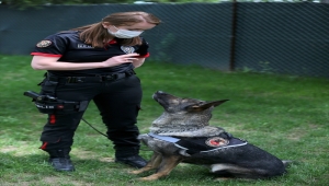 Eskişehir emniyetinin özel köpeklerini anne şefkatiyle eğitiyorlar