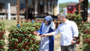 Girişimci çift "kule saksı" yöntemiyle daha az su kullanarak çilek üretimini artırdı