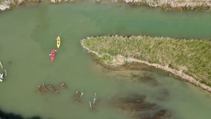 İç Anadolu'nun batısında gizli kalmış bir kuş cenneti: Balıkdamı