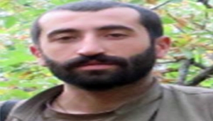 İçişleri Bakanlığı: Bitlis'te etkisiz hale getirilen teröristlerden biri gri listede