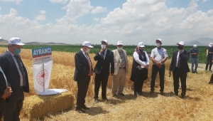 Karaman'da kurağa dayanıklı çeşitlerin tanıtılması için tarla günü düzenlendi