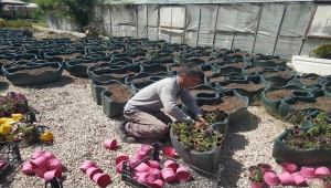 Kızılcahamam'da çiçeklendirme çalışması yapıldı