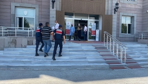 Konya'da 69 kök Hint keneviri ve esrar ele geçirildi