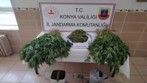 Konya'da jandarmadan uyuşturucu operasyonu