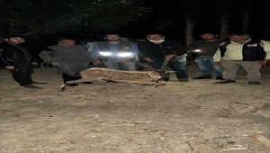 Sivas'ta arazide bitkin bulunan yaban keçisi at sırtında taşındı