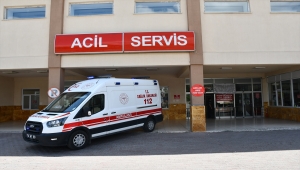 Sivas'ta bir imam caminin bahçesine köstebekler için tuzak kurduğu sırada yaralandı