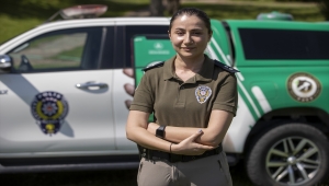 Sokak hayvanları "emniyette" 