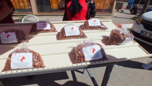 Ulaş'ta kurulan Kadın Girişimi Üretim ve İşletme Kooperatifi, faaliyetlerine başladı