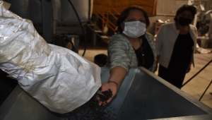 ÜRETİMDEN İHRACATA TARIM - Konya'da bir firmanın ıslah ederek ürettirdiği tohumlar 20 ülkeye satılıyor