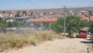 Akşehir'de otluk alanda çıkan yangın büyümeden söndürüldü