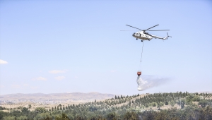 Atatürk Orman Çiftliği arazisinde yangın çıktı