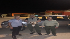 Bala ilçesinde yaralı olarak bulunan şahin tedaviye alındı