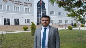 Flamingo sayısındaki artış ve Tuz Gölü suyunun hızlı çekilmesi, besin bulamayan flamingo yavrularının ölümüne neden oldu