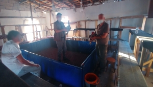 Horoz dövüştüren kişiye 26 bin 55 lira ceza