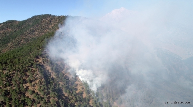 Kayseri Aladağlar Milli Parkı'nda çıkan yangına müdahale sürüyor 