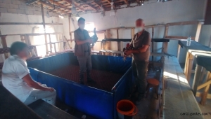 Kayseri'de horoz dövüştüren kişiye 26 bin lira ceza