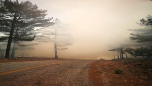 Kayseri'de ormanlık alanda yangın çıktı