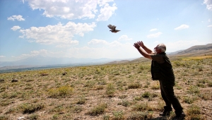 Kayseri'de tamirci dükkanında kınalı keklik bulunduran esnafa para cezası verildi