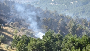 Kırıkkale'de ormanlık alanda çıkan yangın söndürüldü