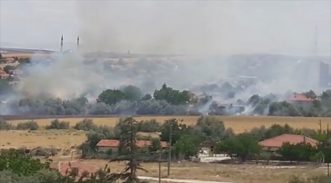 Kırşehir'de otluk alanda yangın çıktı