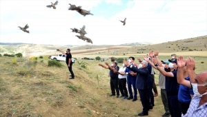 Kırşehir'de yaban hayatı çeşitliliğinin korunması için 425 kınalı keklik doğaya bırakıldı