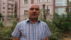 Konya'da bir sitenin bahçesindeki ağaçların kesilmesi tepki çekti