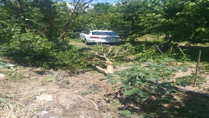 Konya'da otomobilin çarptığı bahçedeki kişi hayatını kaybetti