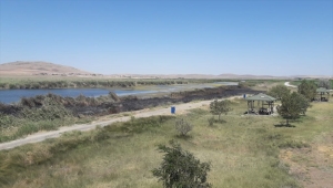 Kulu'da sazlık yangını büyümeden söndürüldü