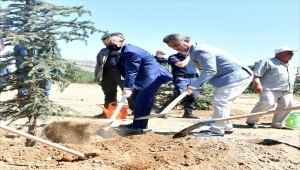 Mamak'ta 15 Temmuz şehitleri anısına 251 ağaç dikildi