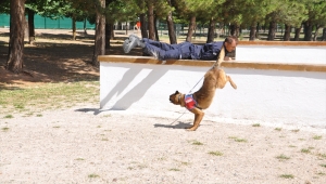 Nevşehir JAKEM Komutanlığında eğitilen köpekler yarıştı
