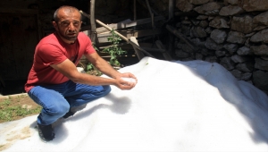 Sivas'ta dolu ekili alanlara zarar verdi