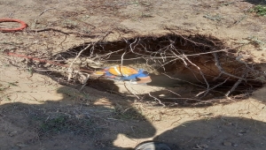 Sivas'ta kuyuya düşen keçiler AFAD ekibince kurtarıldı