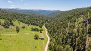 Sivas'taki Çat Ormanları, sıcaktan bunalan doğa tutkunlarını cezbediyor