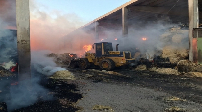 Vali Işık Kazımkarabekir ilçesindeki çiftlik yangınının olduğu bölgede incelemelerde bulundu 